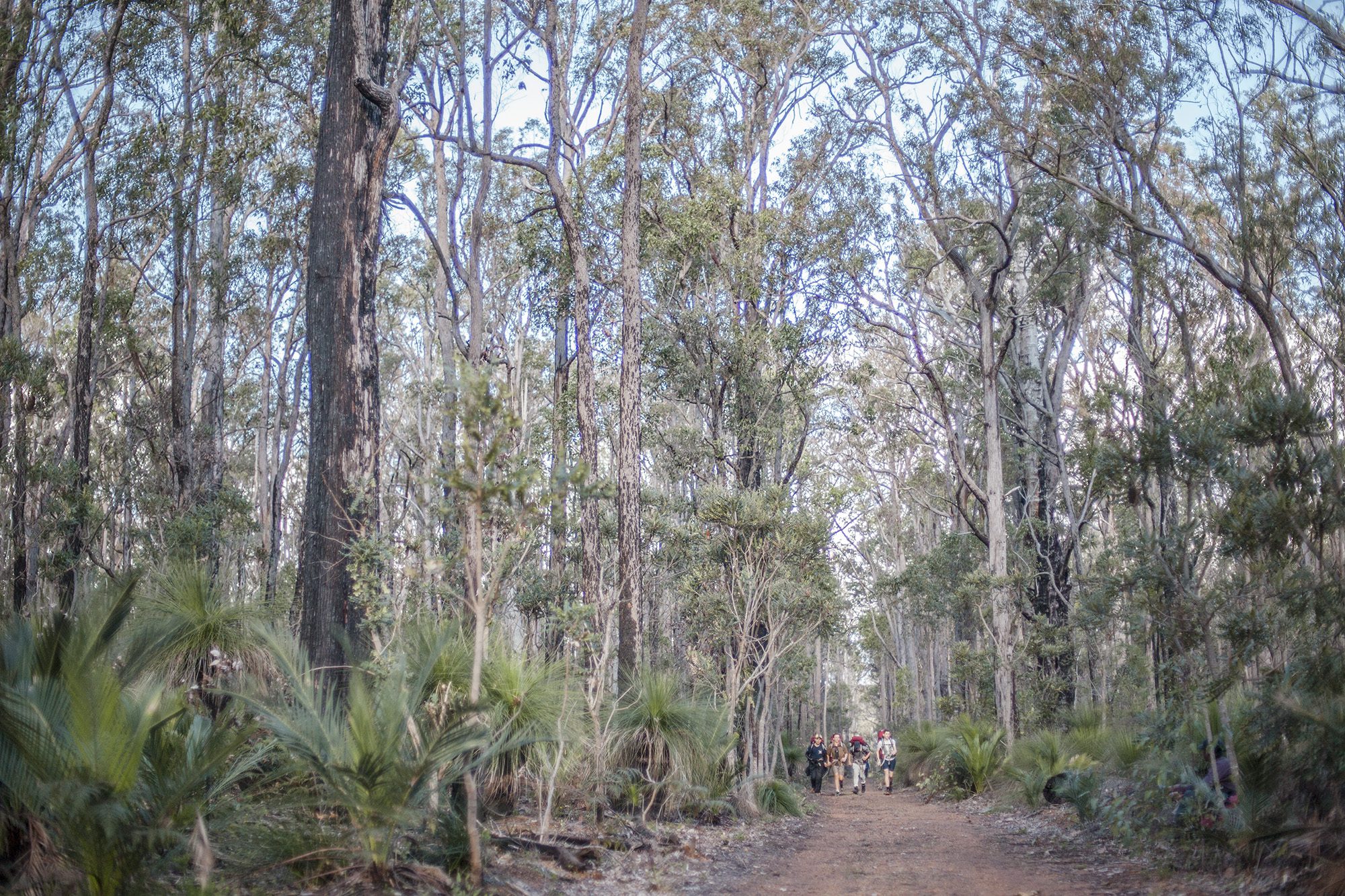 students hiking at Kooringal Outdoor Education Centre