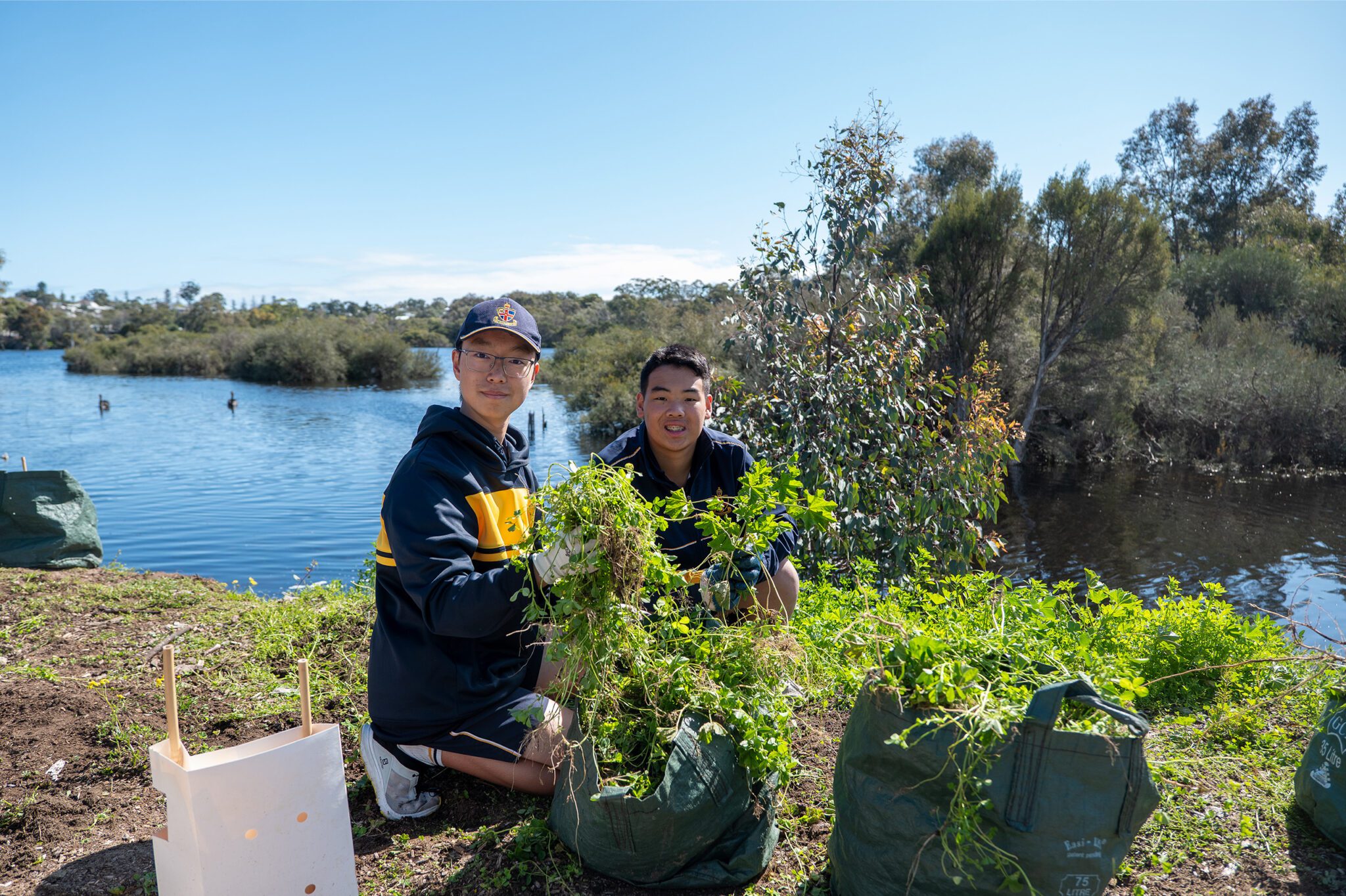 Senior School ENCOMM students cleaning up Lake Claremont.