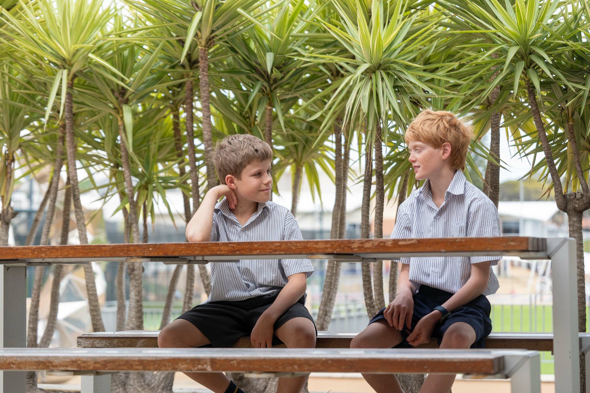 Two young Senior School students having a discussion
